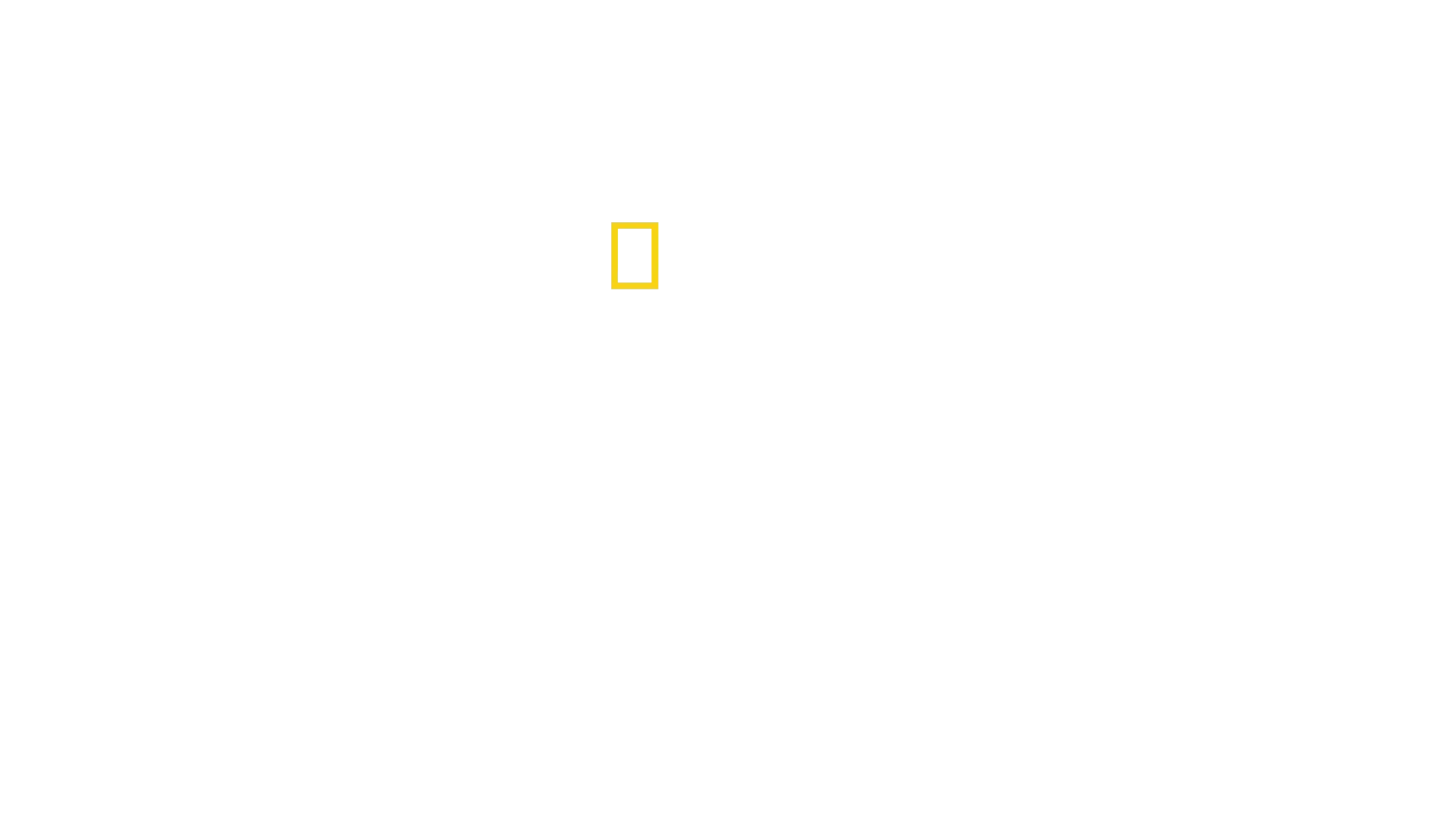 Μυστικά των Πιγκουίνων
