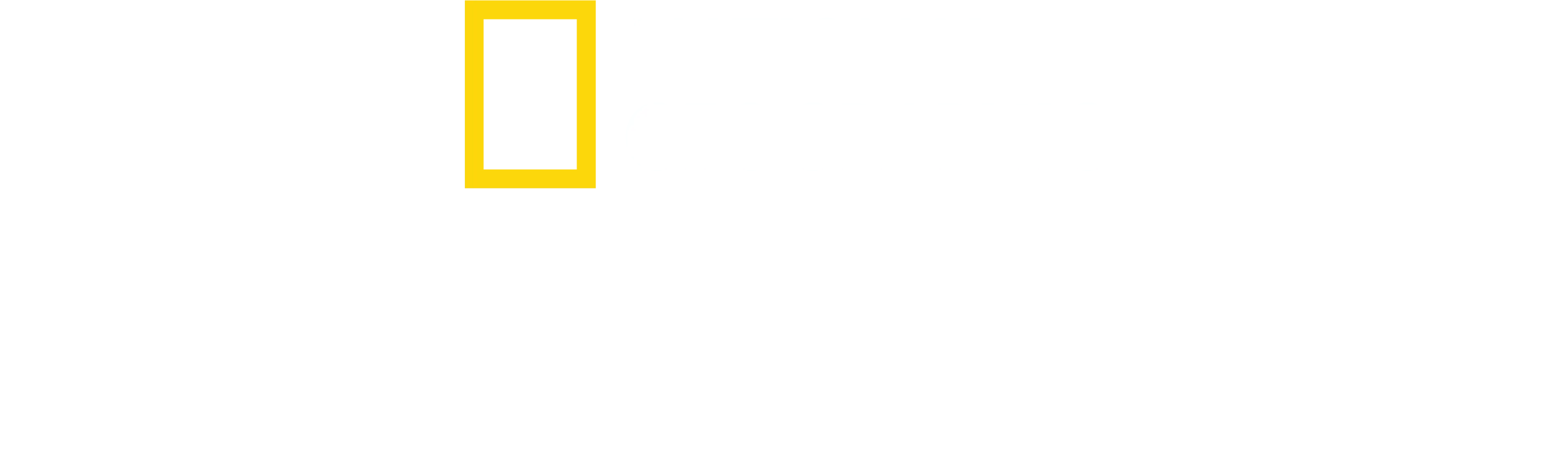 Fotoğrafçı