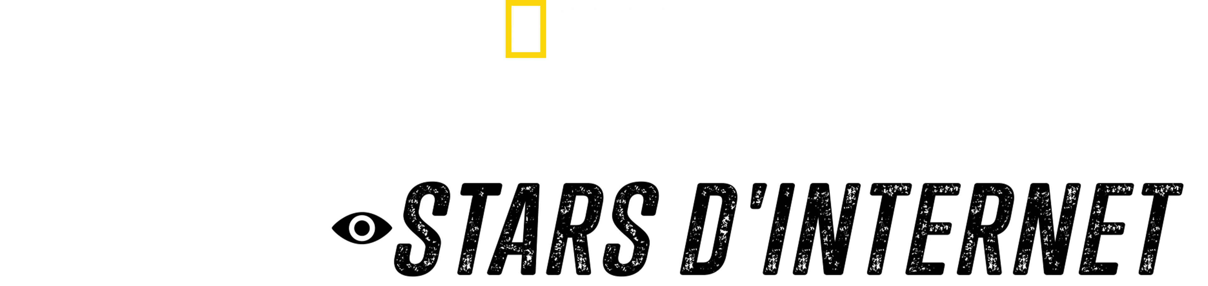 Les requins : nouvelles stars d'Internet