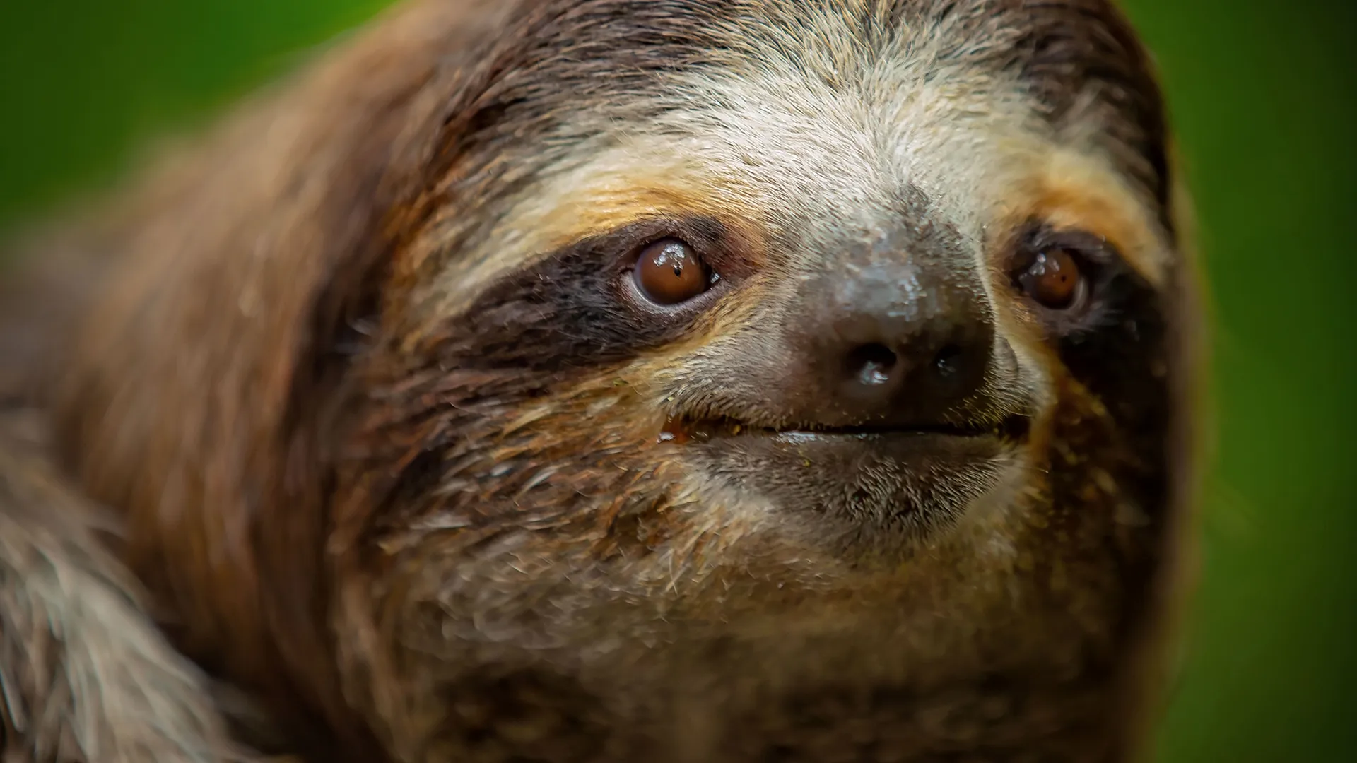 thumbnail - S1:E5 Total Grossout