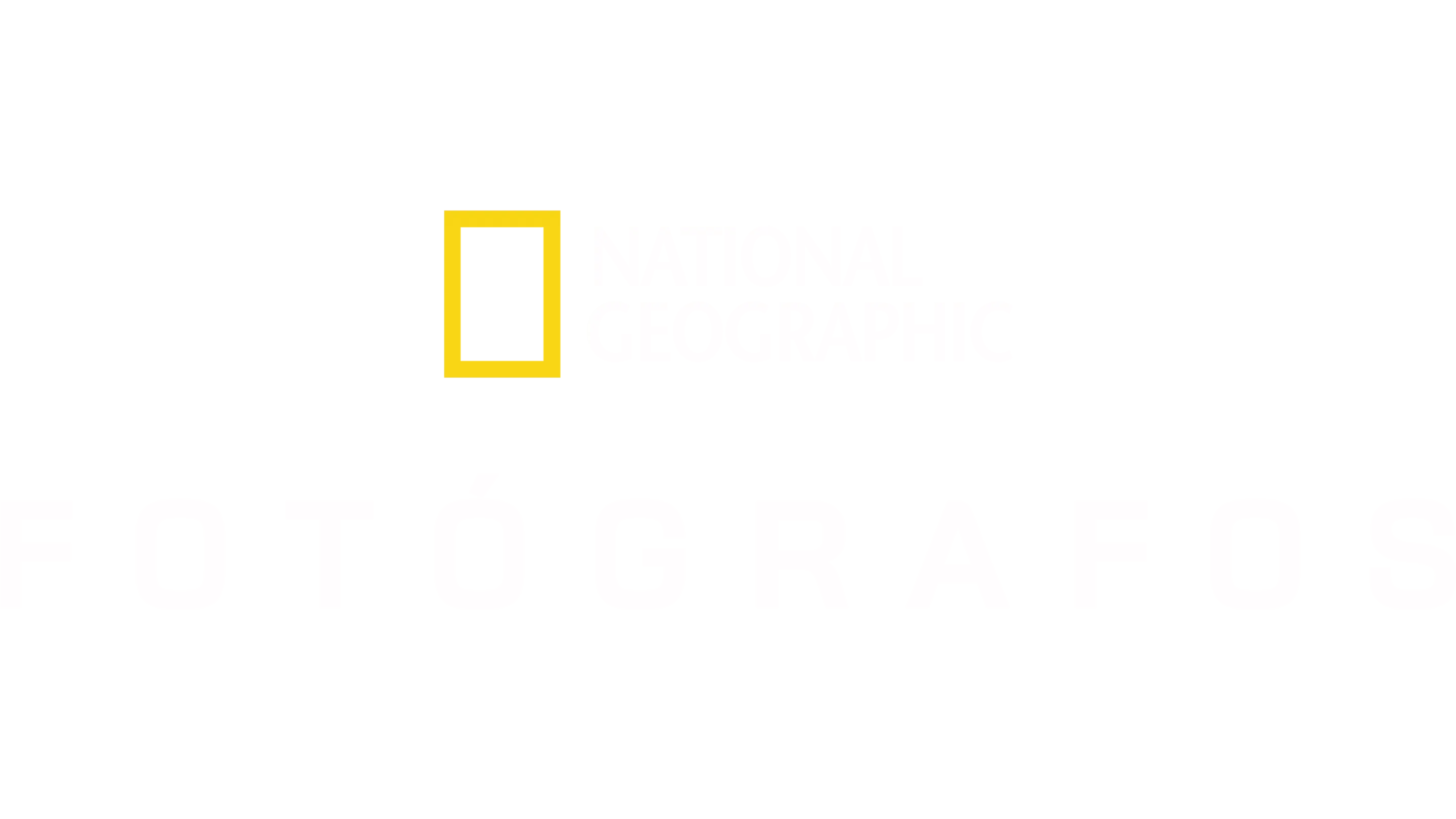 Fotógrafos