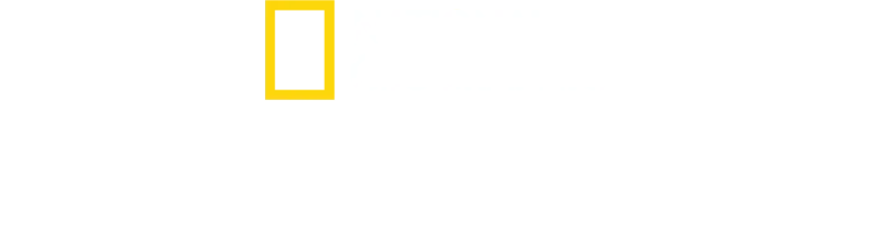 Fotógrafos