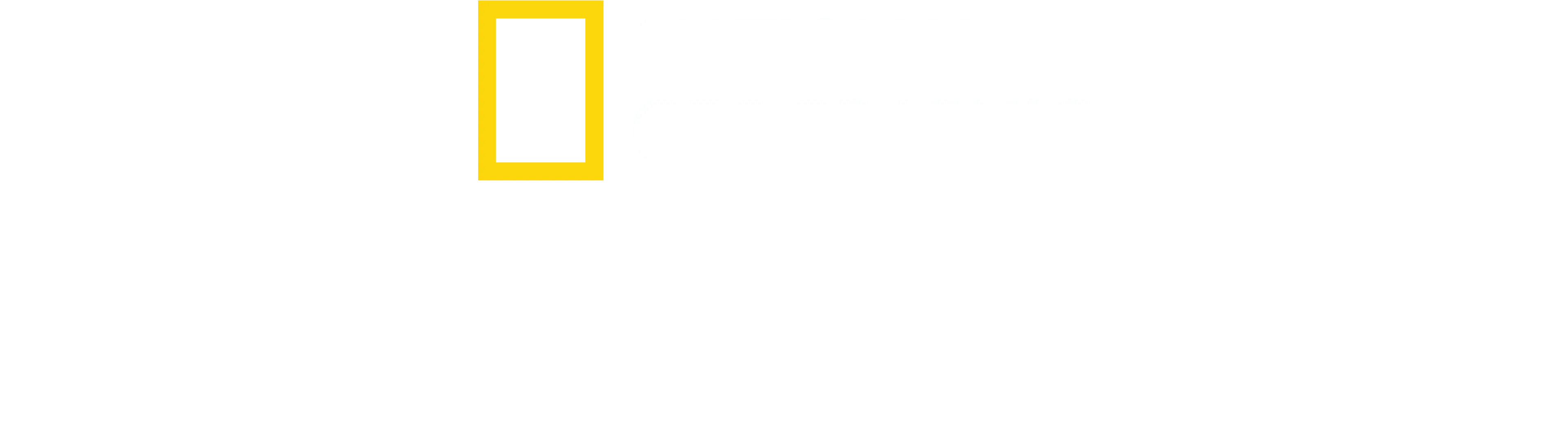 Fotógrafos