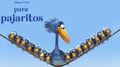 thumbnail - Para pajaritos