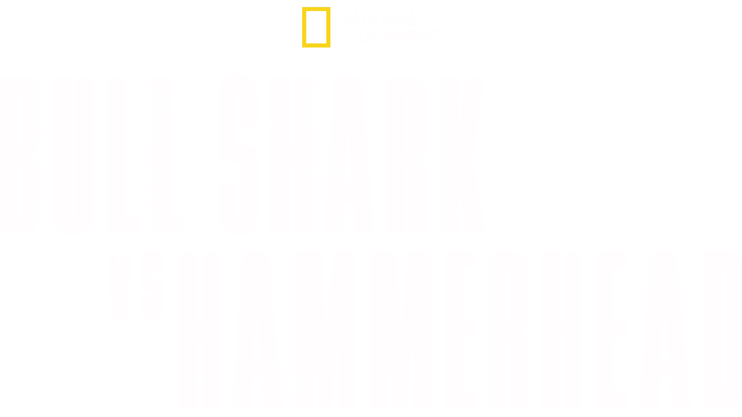 Bull Shark vs. Hammerhead