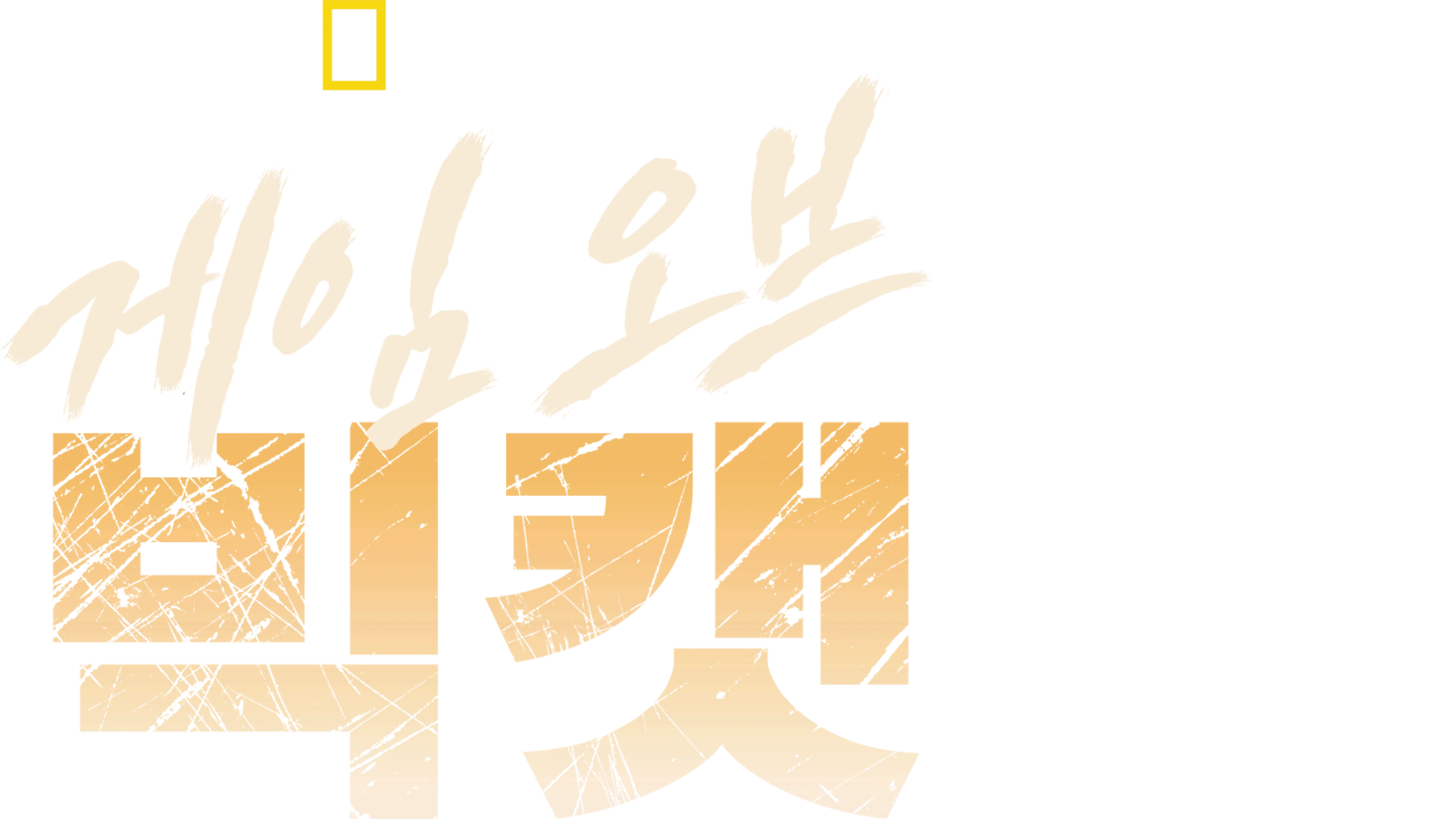 게임 오브 빅캣