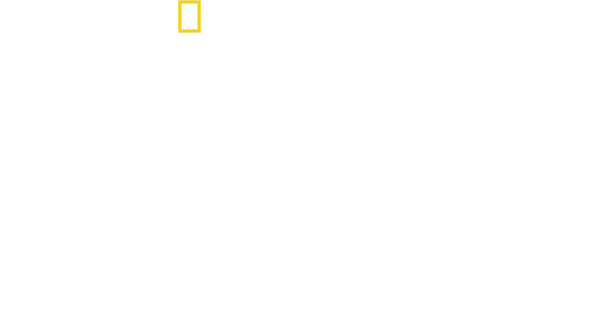 Drugs, Inc.