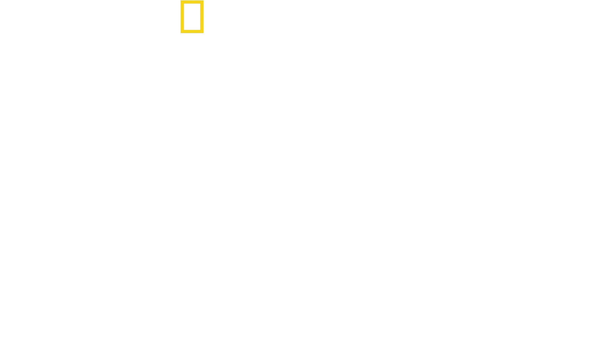 Drugs, Inc.
