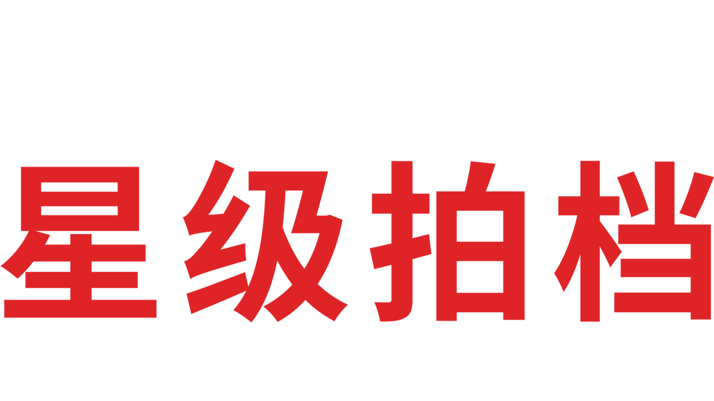 星级拍档