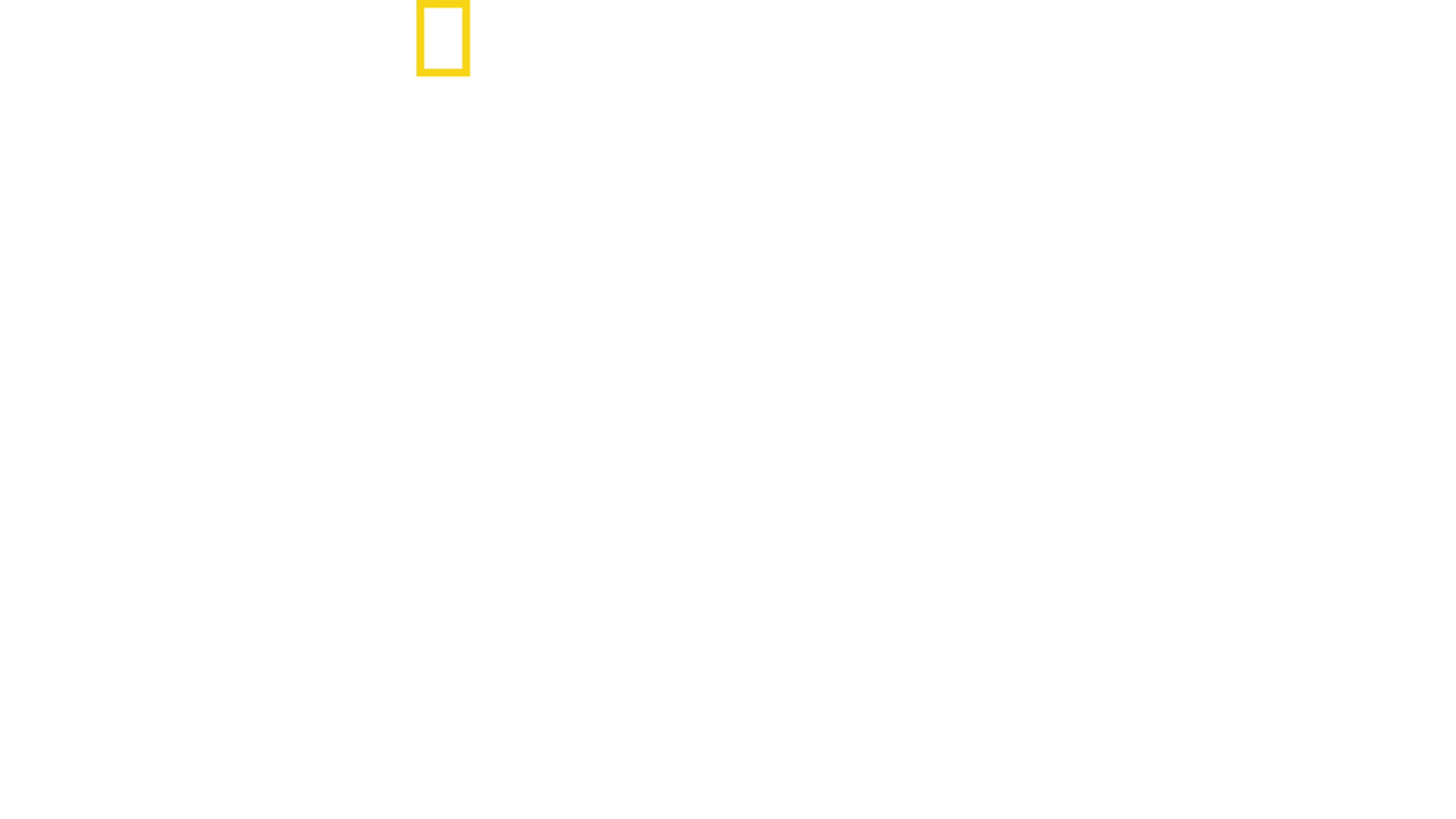 Free Solo - Mászókötél nélkül