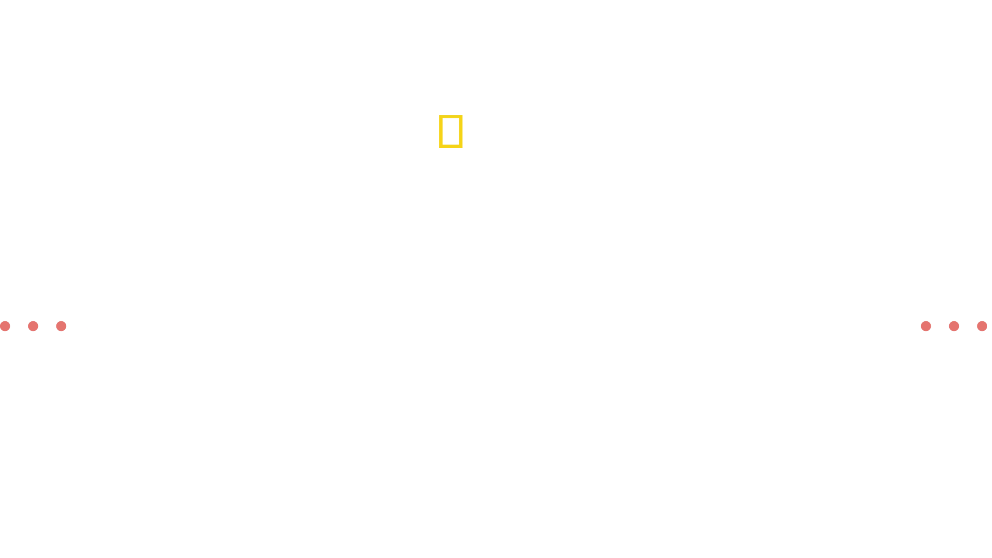 Dermatología veterinaria con la Dra. Joya