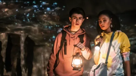 The Curious Case of Dolphin Bay