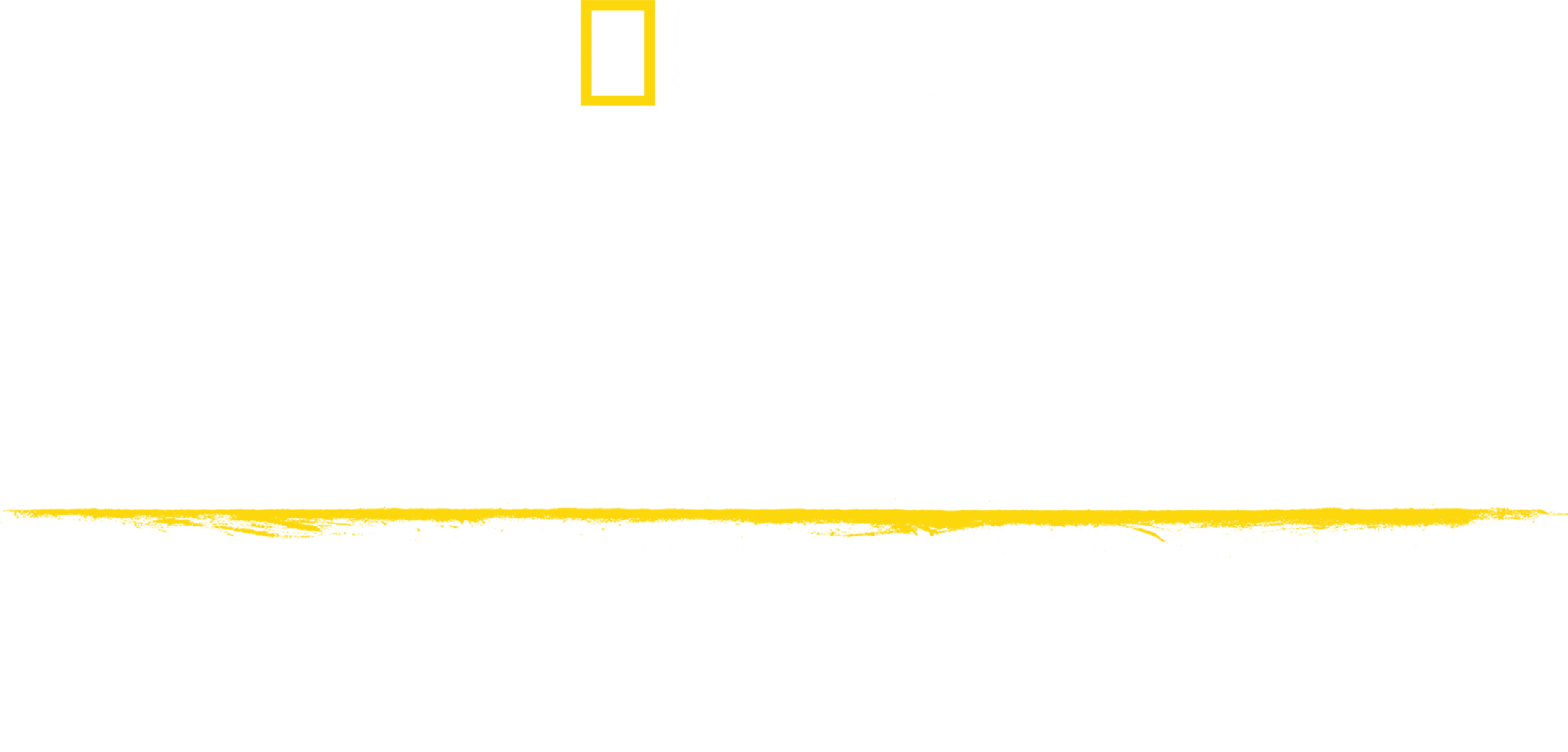 地獄廚神美食大對決