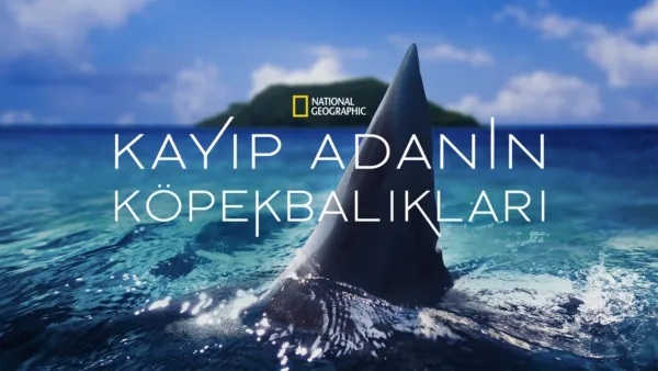 thumbnail - Kayıp Adanın Köpekbalıkları