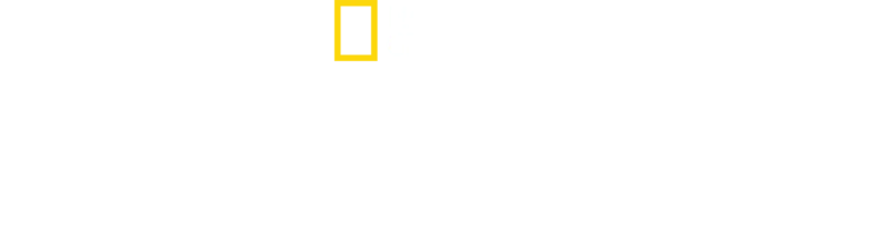巨型雙髻鯊之謎