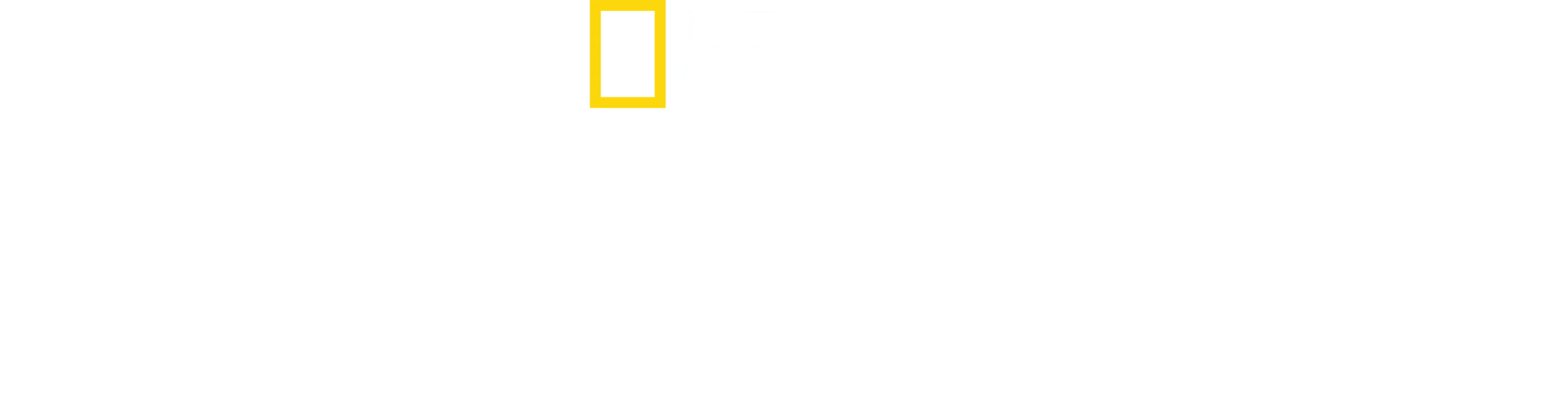 巨型雙髻鯊之謎