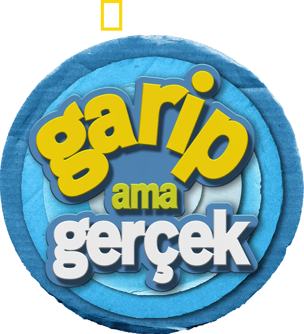 Garip ama Gerçek
