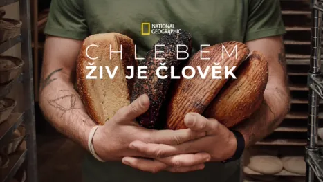 thumbnail - Chlebem živ je člověk