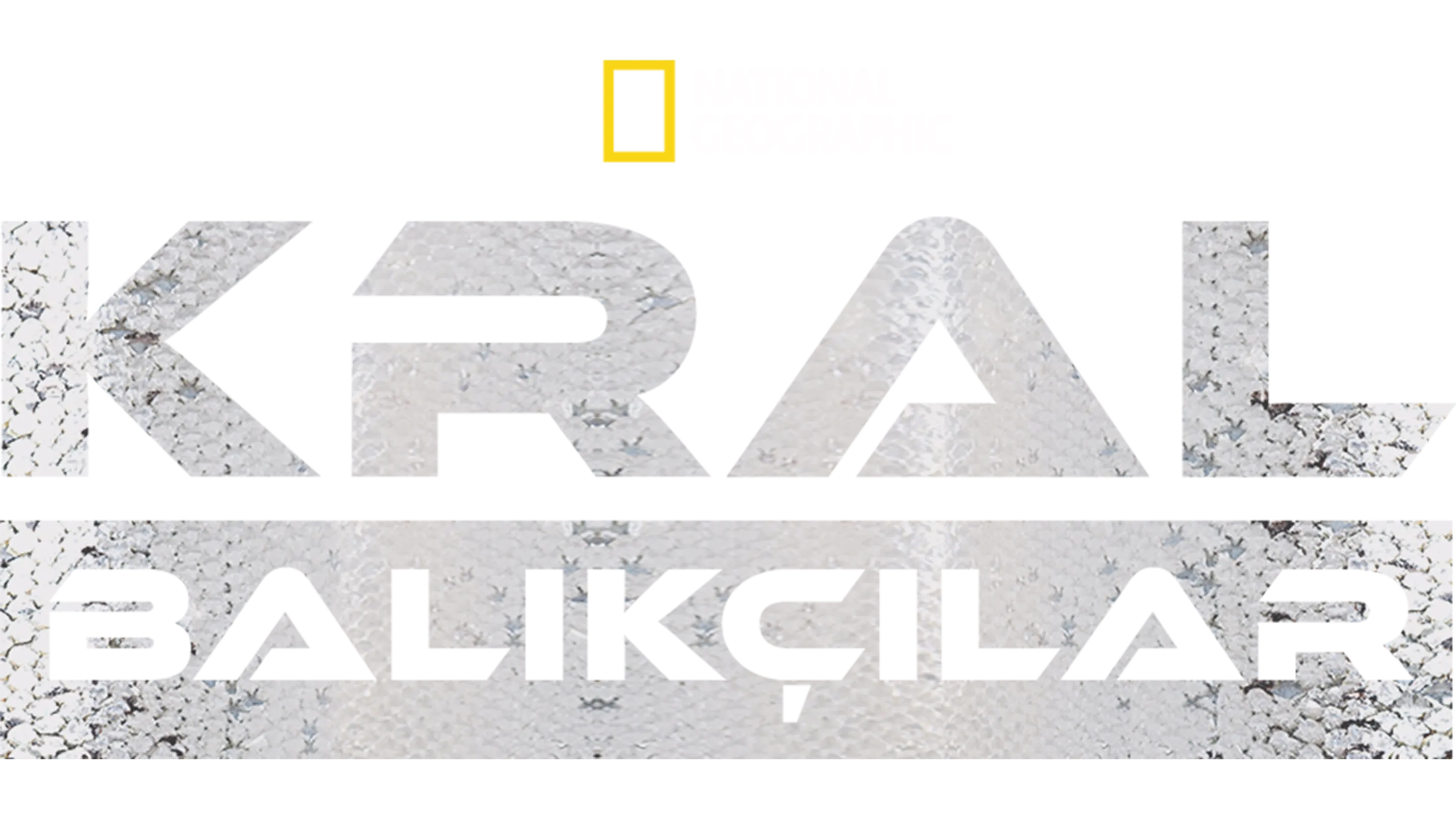 Kral Balıkçılar