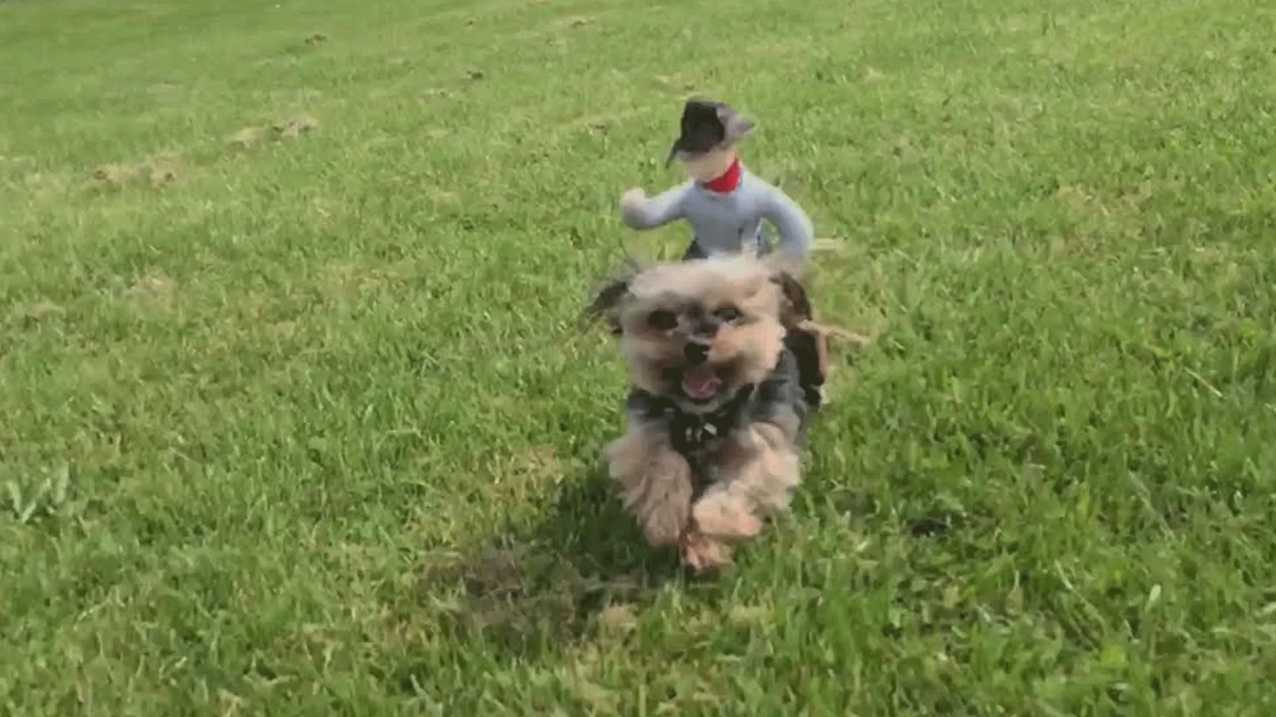 thumbnail - M1:Ep2 Stunt Puppies