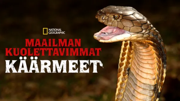 thumbnail - Maailman kuolettavimmat käärmeet