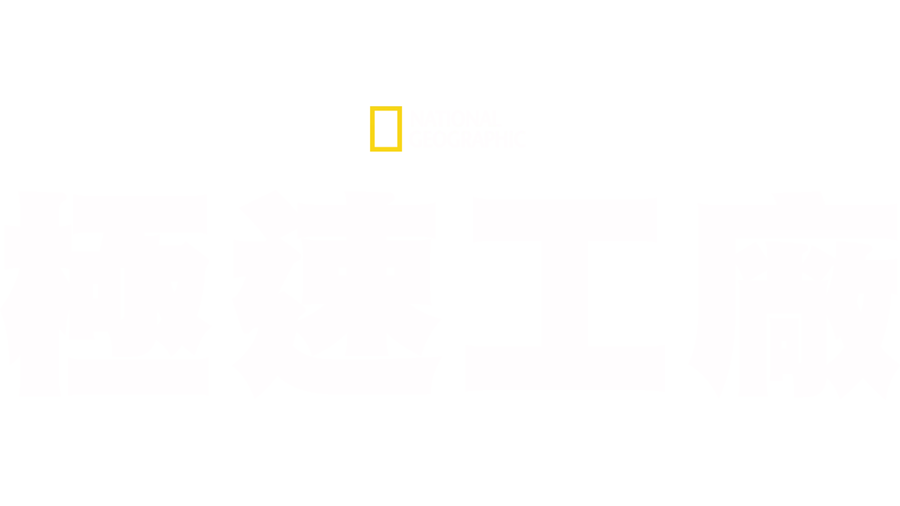極速工廠