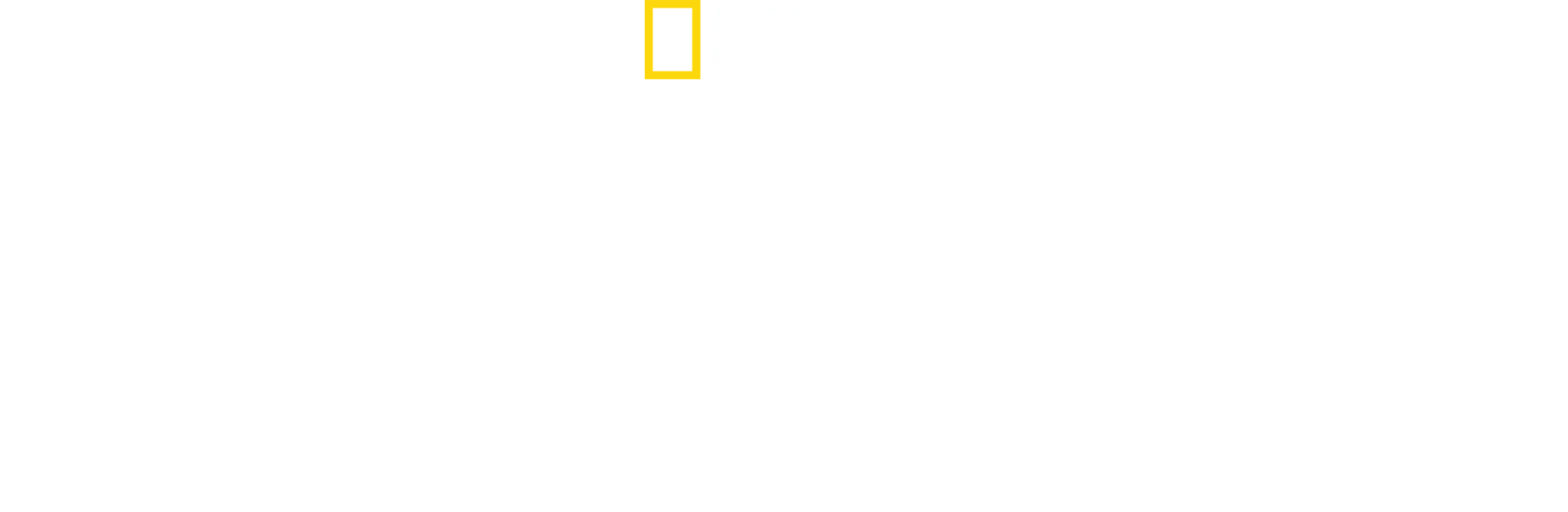 極速工廠