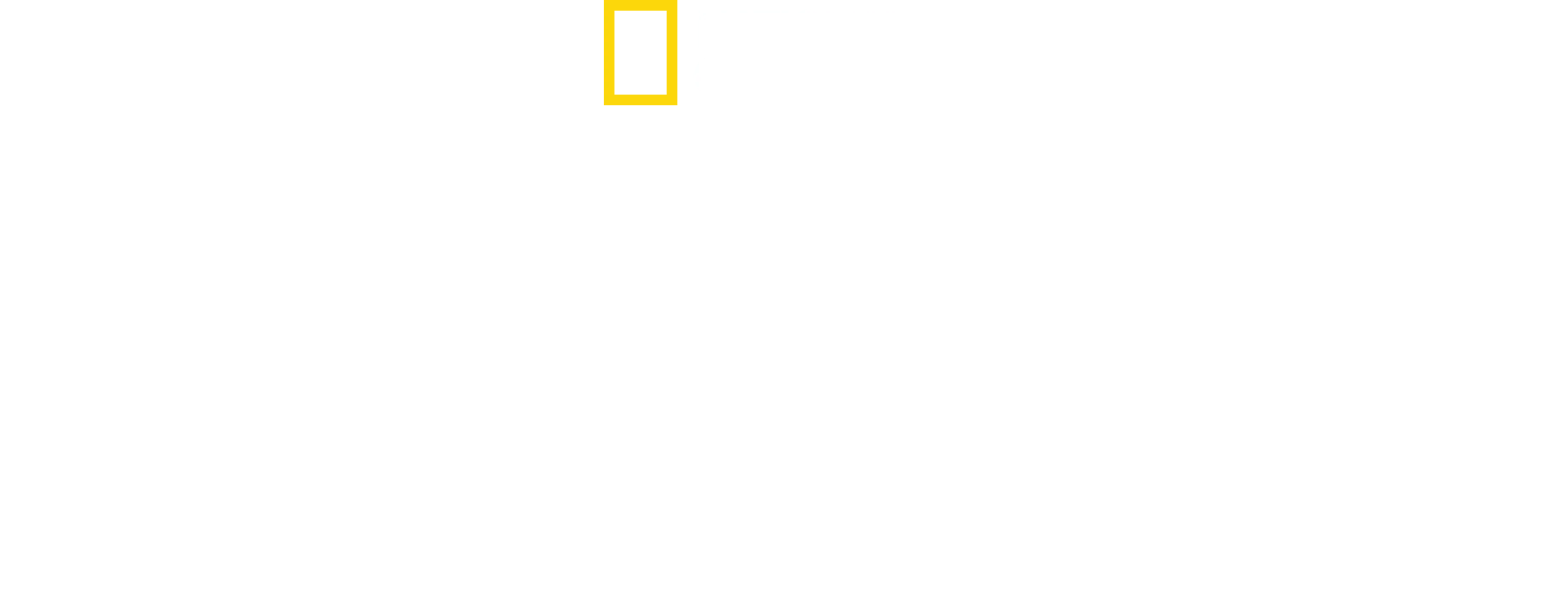 Král žraloků