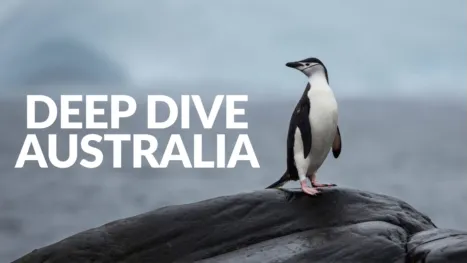 thumbnail - Deep Dive Australia
