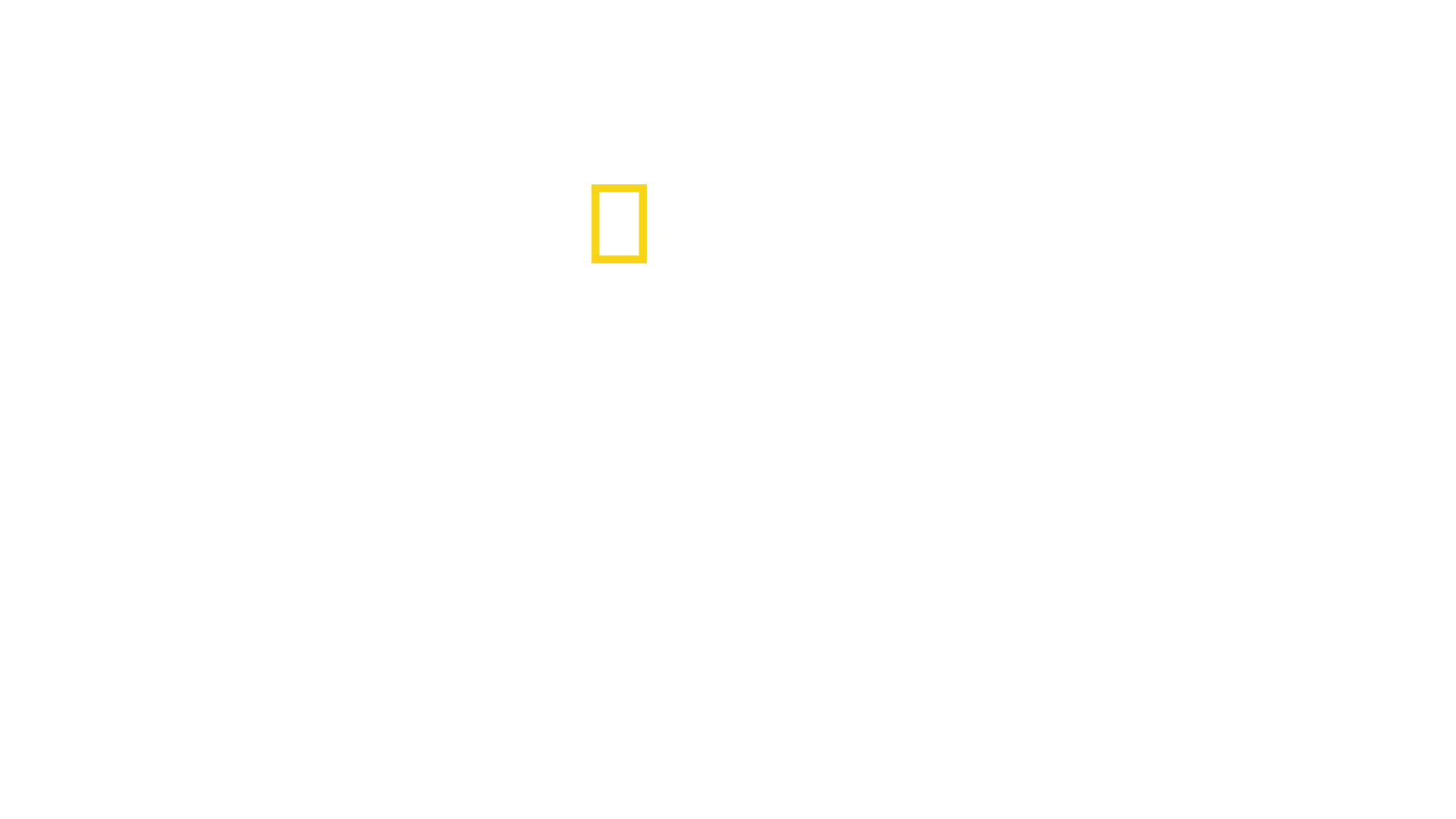 David Attenborough: Océano