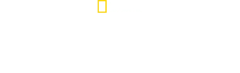 David Attenborough: Océano