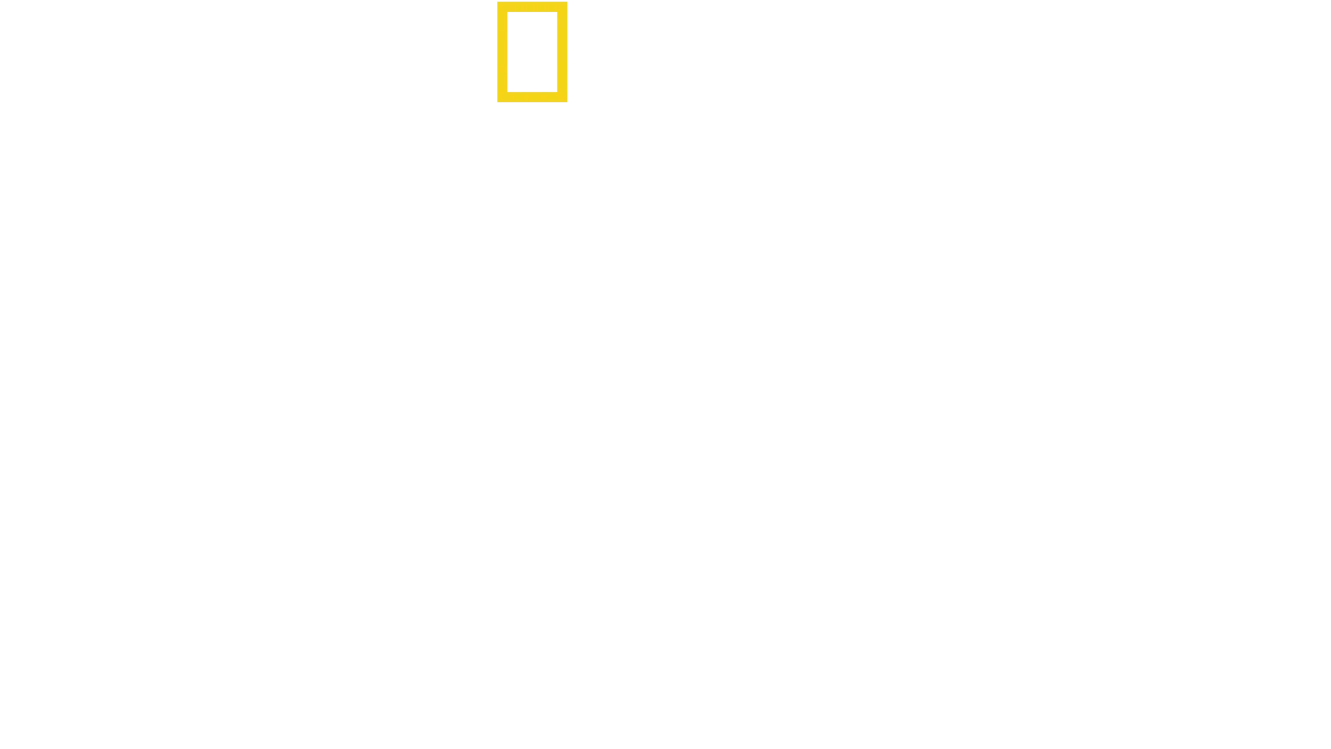 Crescer Animal