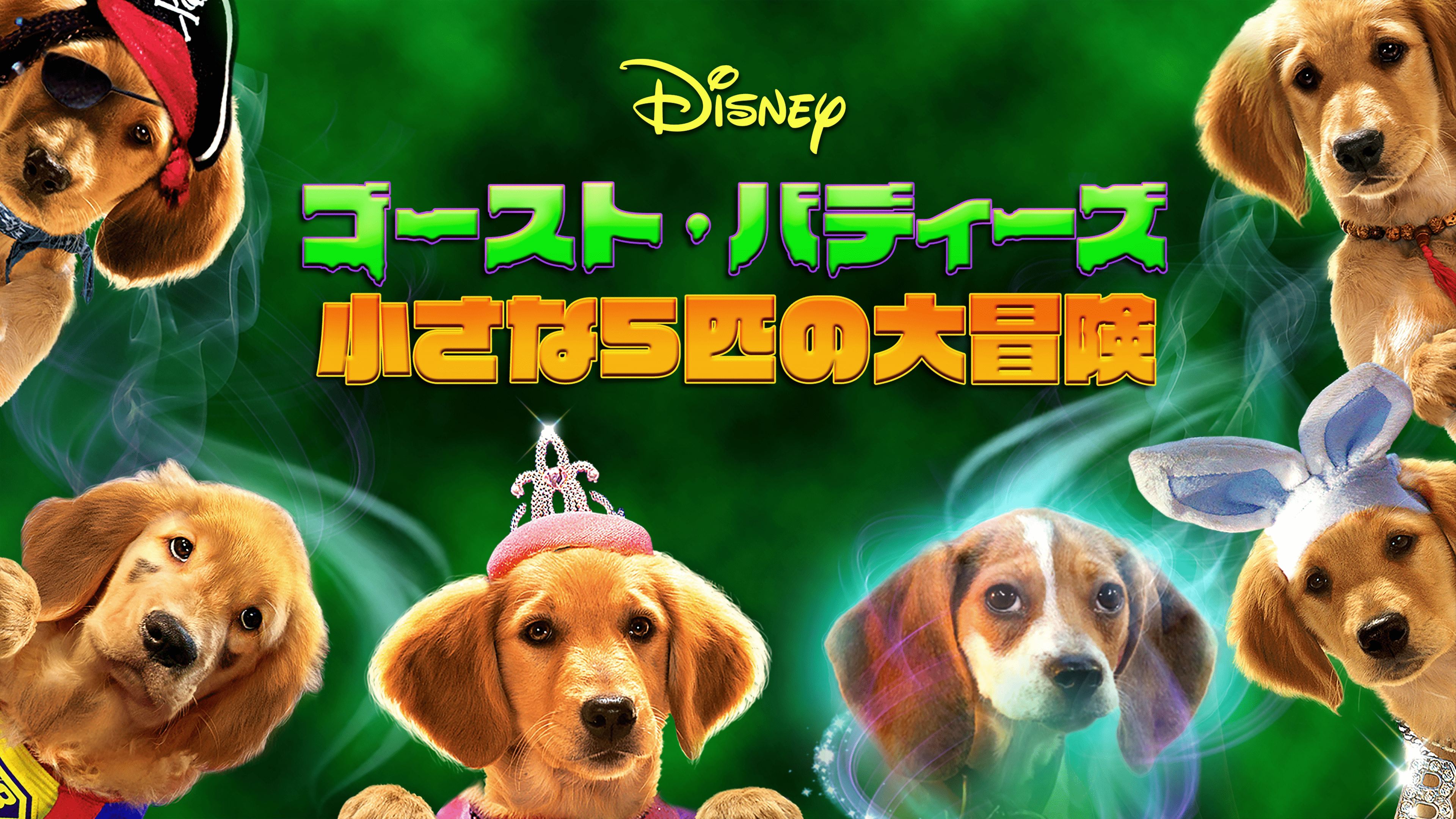 『ゴースト・バディーズ/小さな5匹の大冒険』