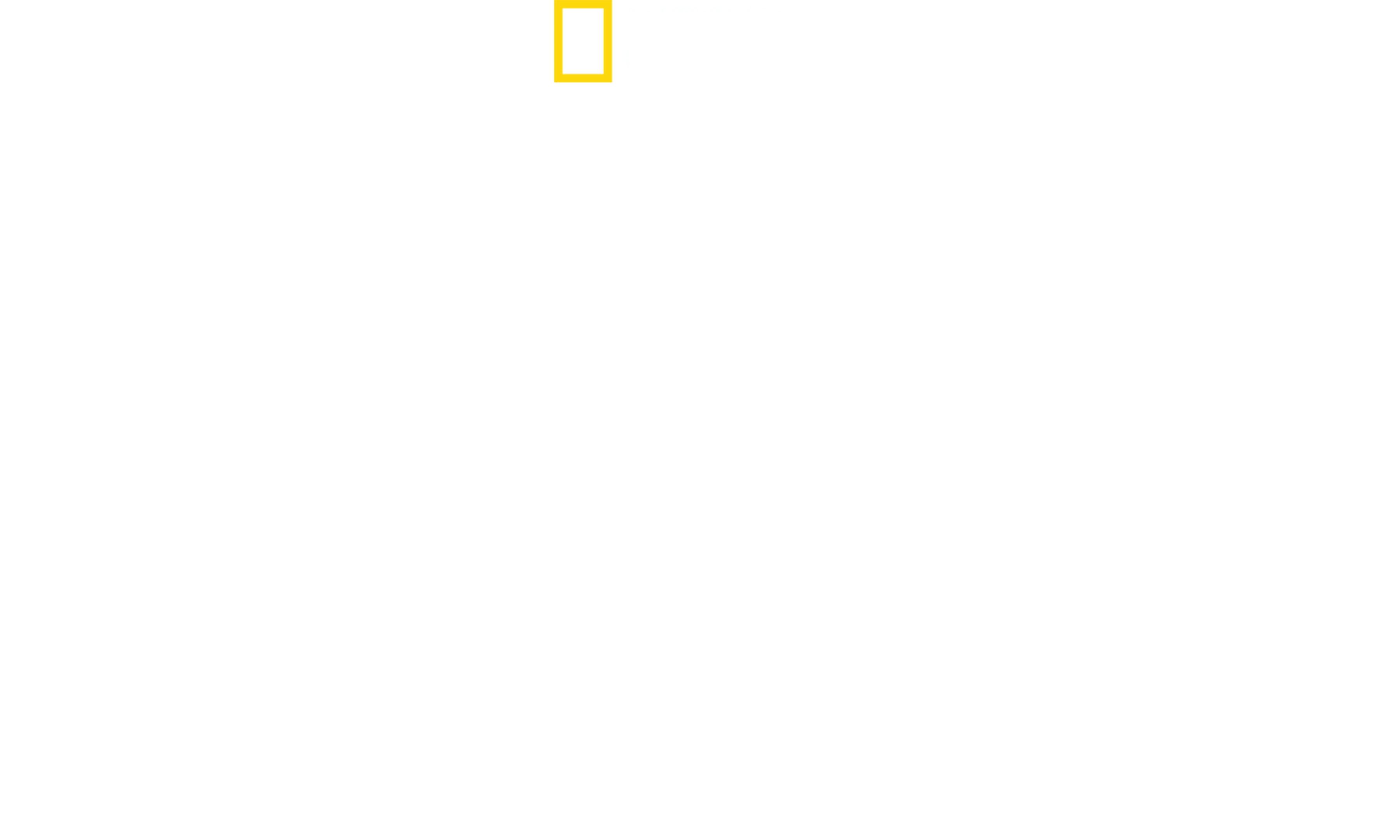 Χρόνος Κατασκευής: Μία Ημέρα