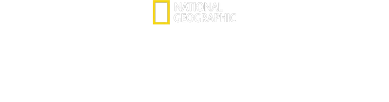Balinaların Gizemli Dünyası