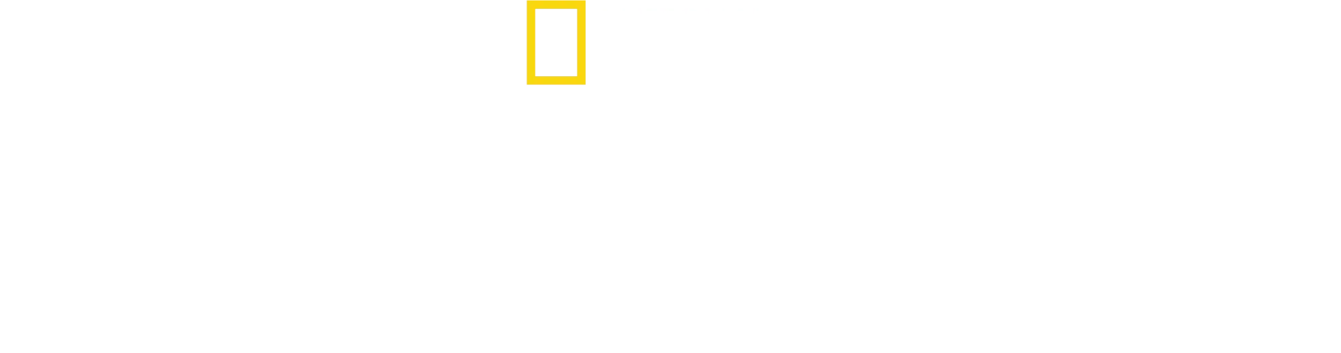 Balinaların Gizemli Dünyası