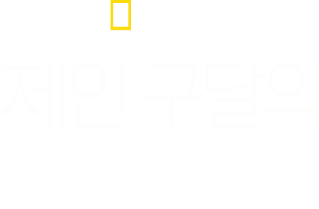 제인 구달의 희망