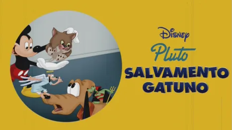 thumbnail - Salvamento gatuno