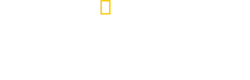 La forêt amazonienne : notre terre