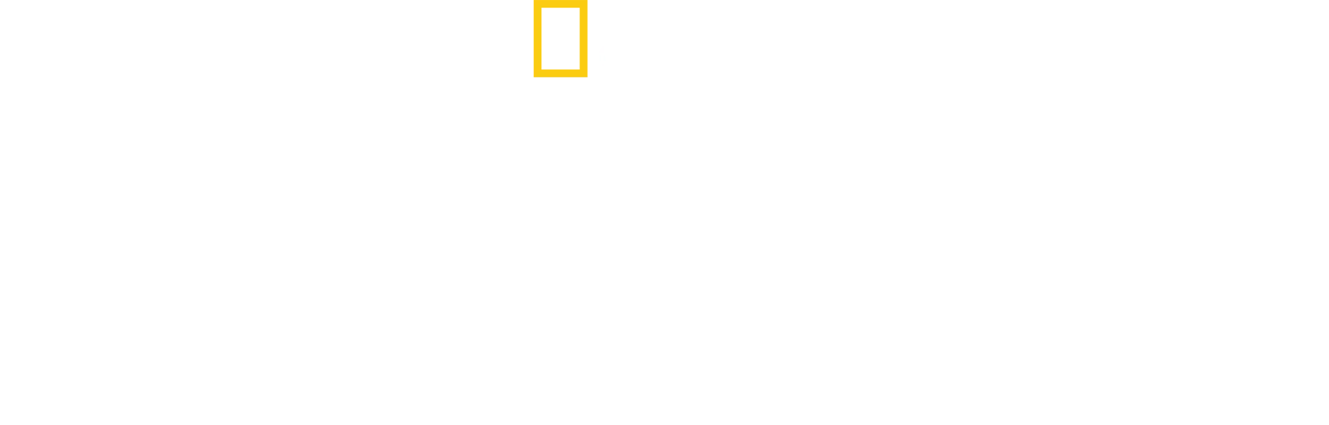 La forêt amazonienne : notre terre