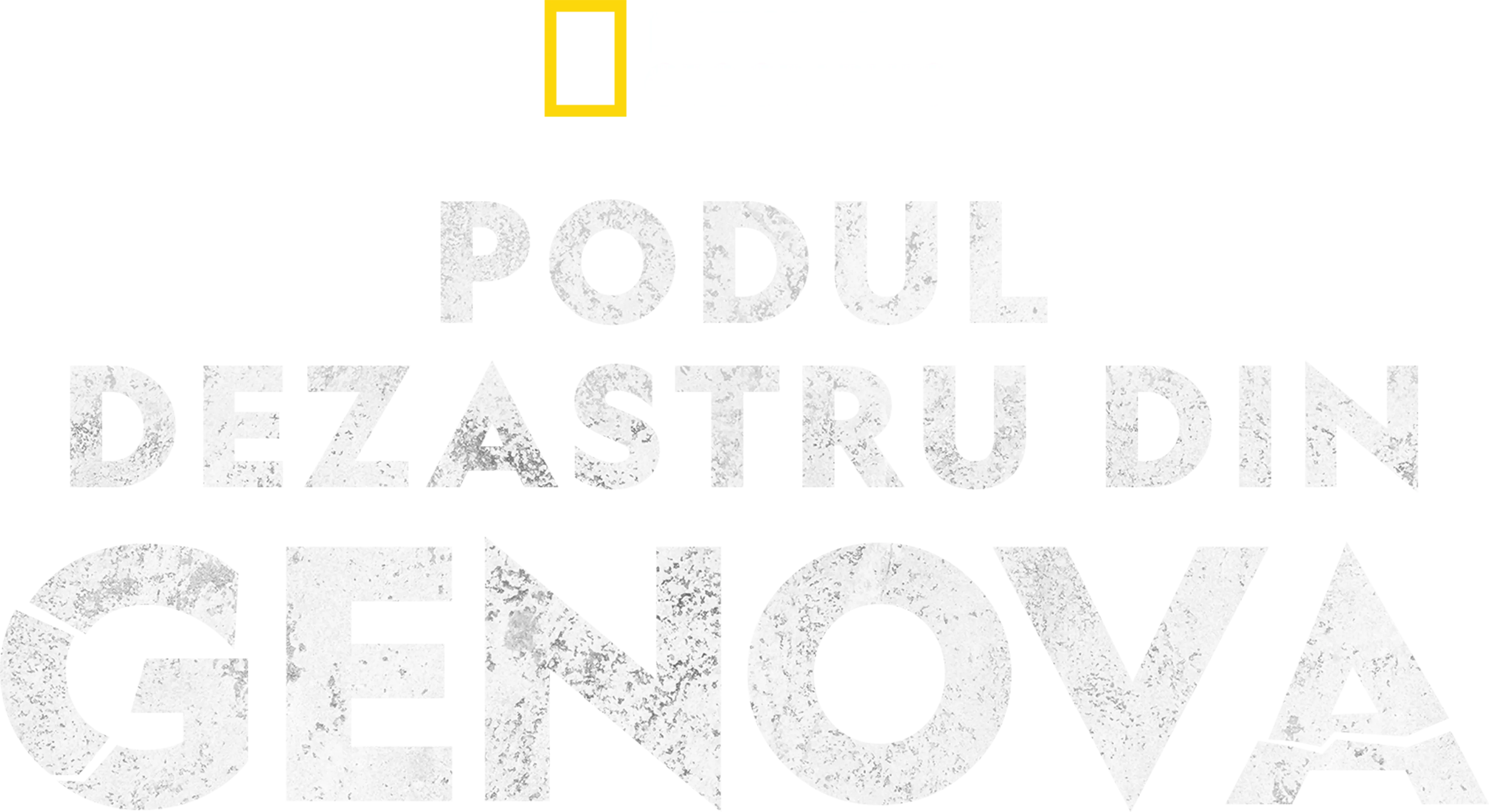 Podul dezastru din Genova