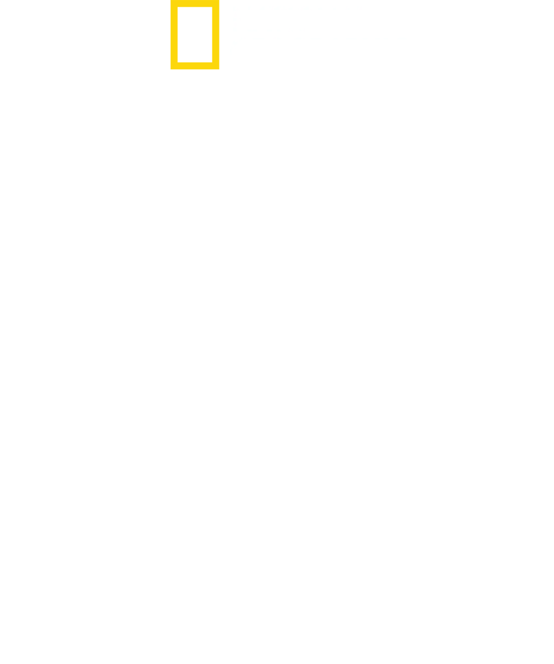 世界最危險的鯊魚？