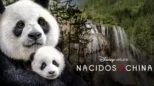 thumbnail - Nacidos en China