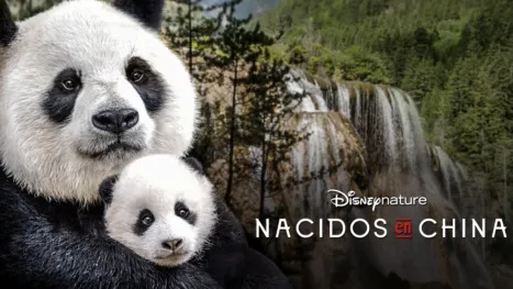 thumbnail - Nacidos en China