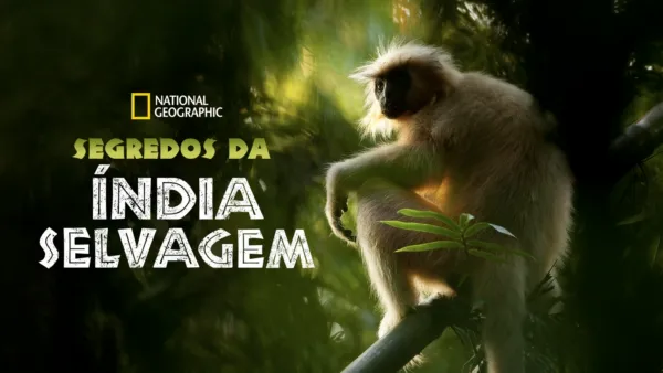 thumbnail - Segredos da Índia Selvagem