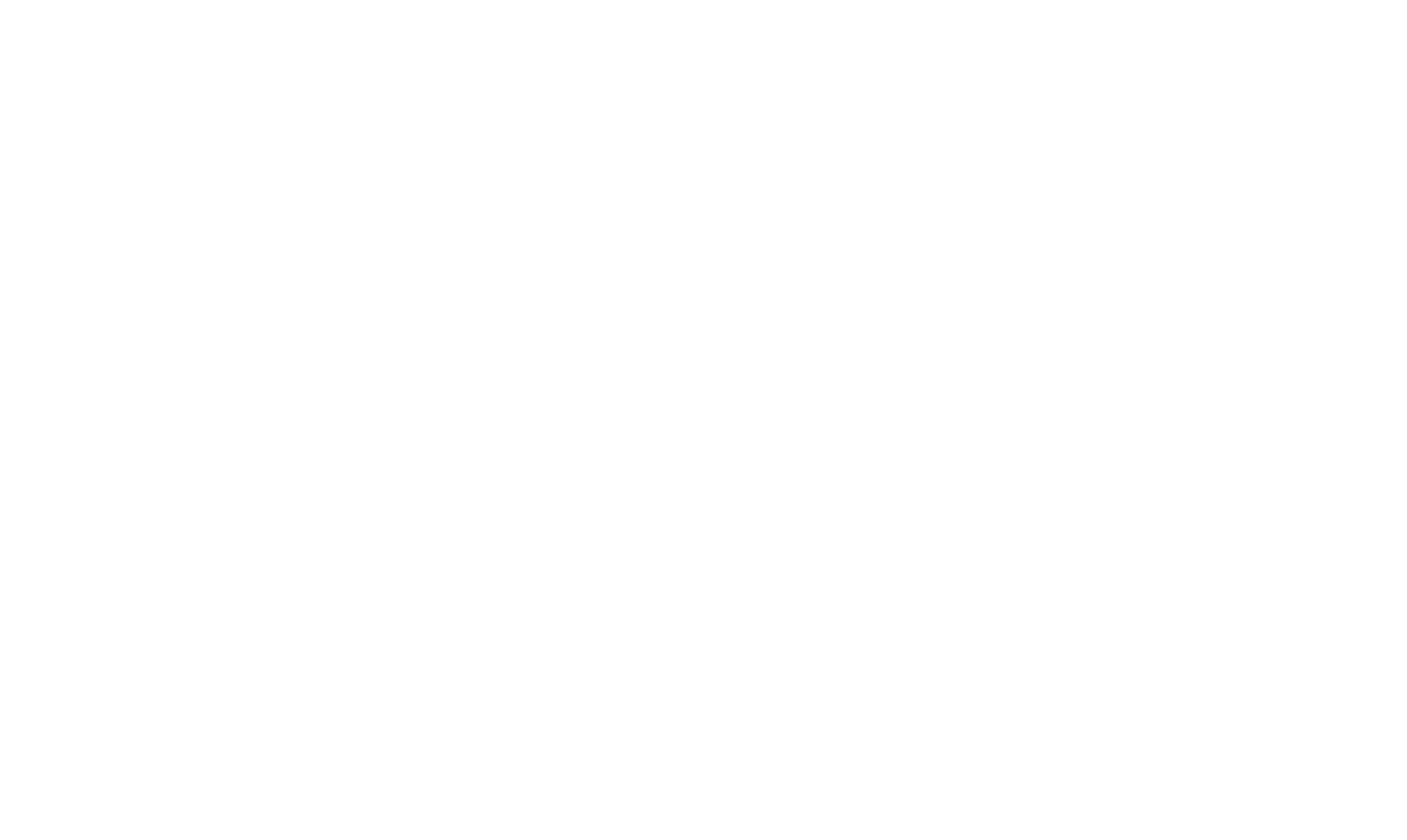 비치 보이스