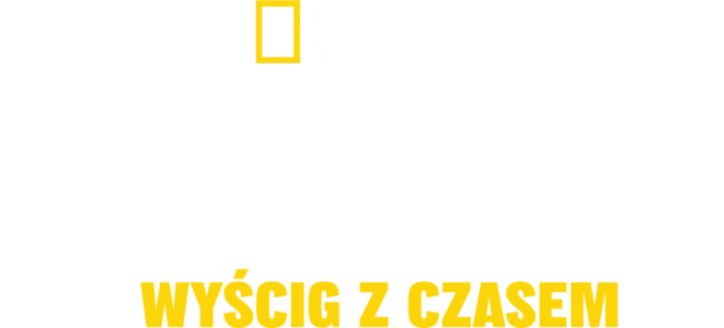Tsunami: Wyścig z czasem