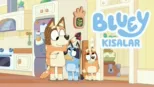 thumbnail - Bluey Kısalar