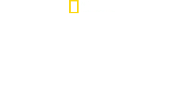 法外岛
