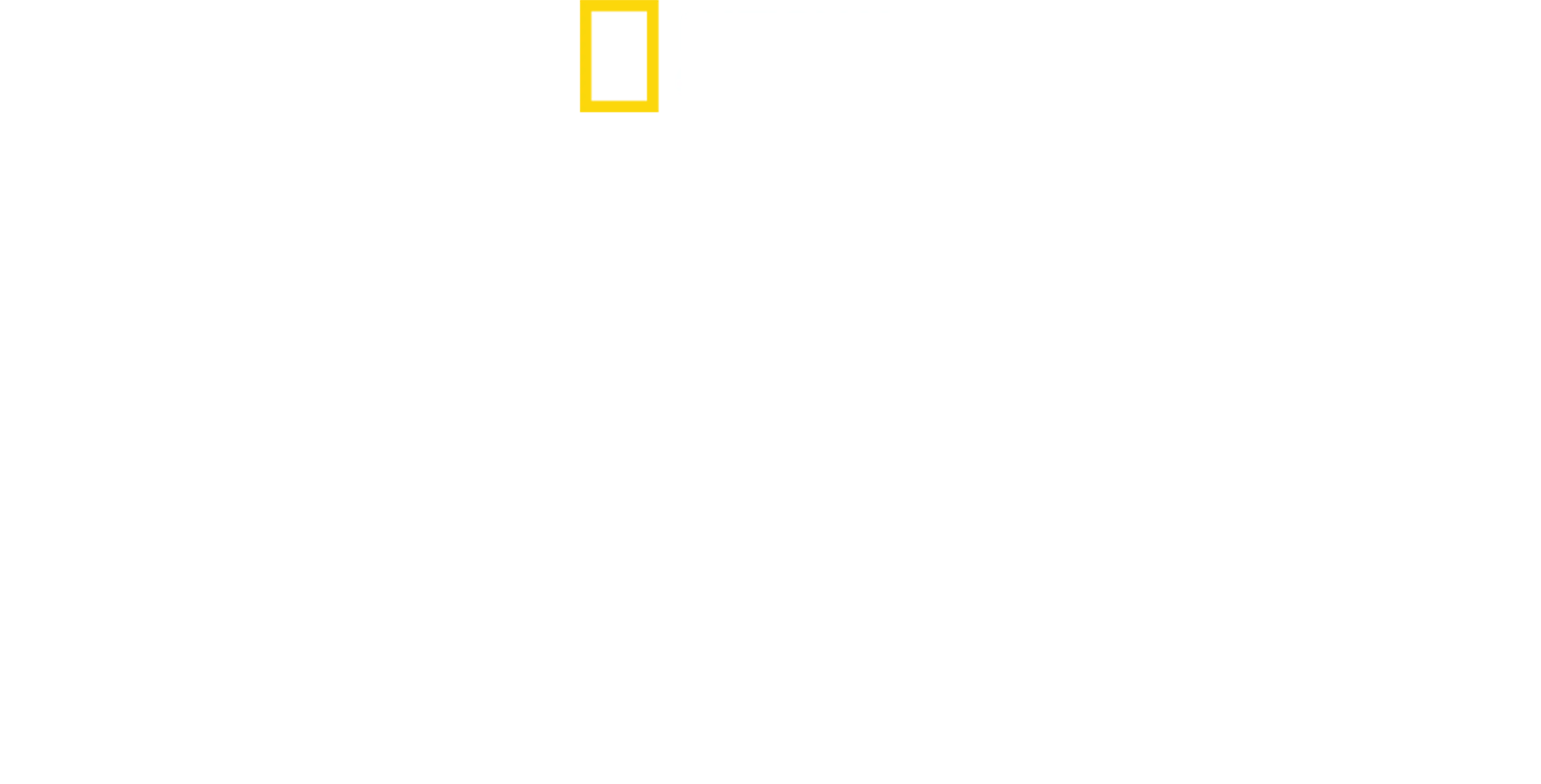 法外岛